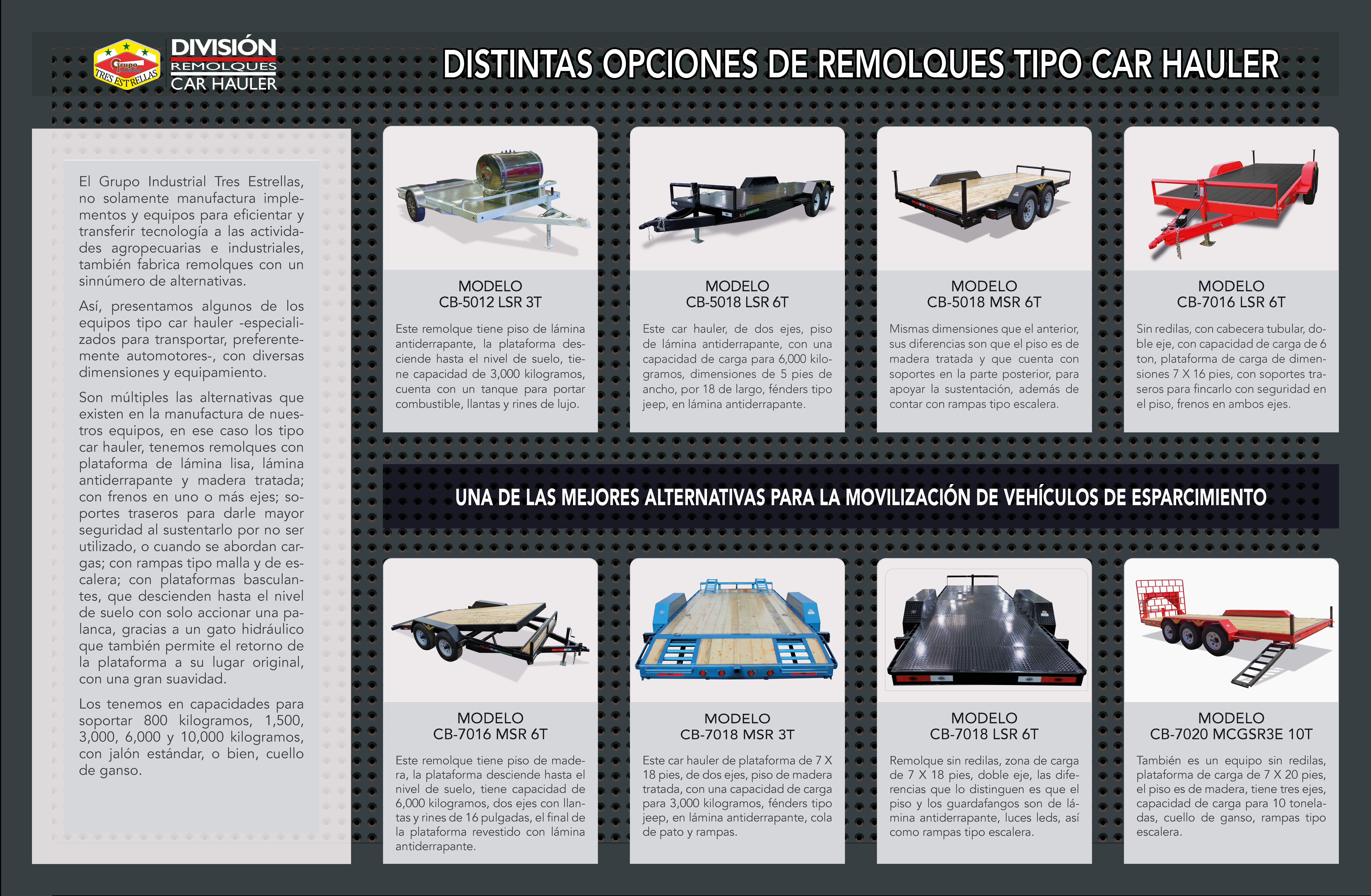 Cama Baja 7 X 18 pies, cap. 6 toneladas, Car hauler